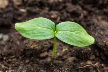 Similar image 13061686