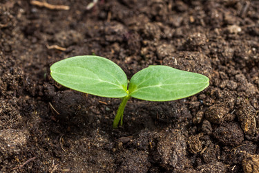 Similar image 13061688