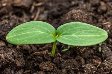 Similar image 13061689