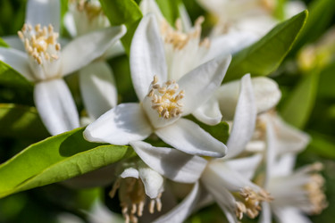 Similar image 13061691