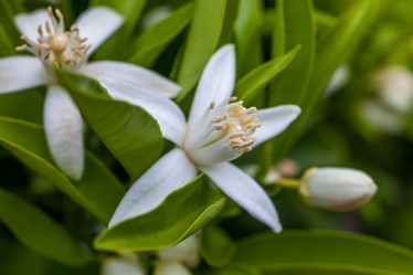 Similar image 13061702