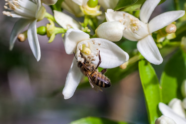 Similar image 13061706