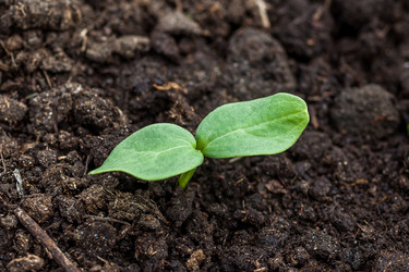 Similar image 13061721