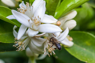 Similar image 13062182