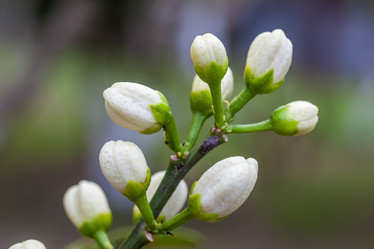 Similar image 13062185