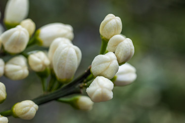 Similar image 13062186