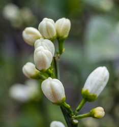 Similar image 13062189