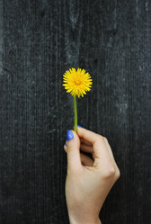 Similar image 13042182