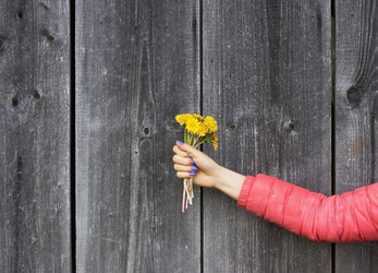 Similar image 13042184