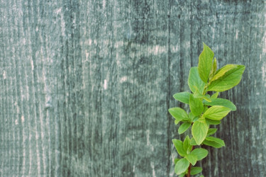 Similar image 13042186