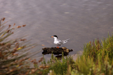 Similar image 13051318