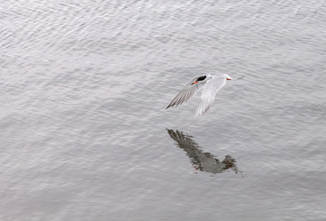 Similar image 13051319