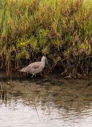 Similar image 13051359