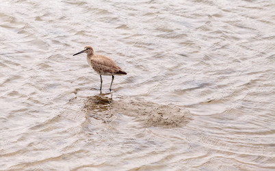 Similar image 13051360