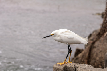 Similar image 13051837