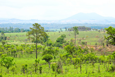 Similar image 13044702