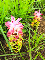 Similar image 13044720