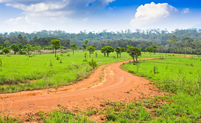 Similar image 13044721