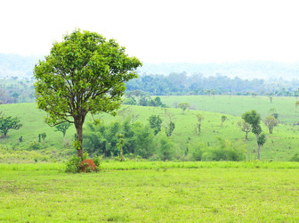 Similar image 13044722