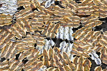 Similar image 13044738