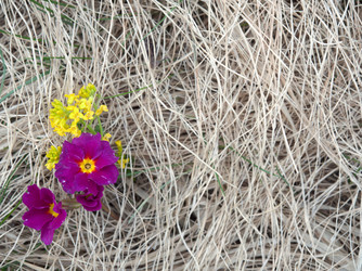 Similar image 13013114