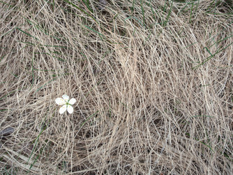 Similar image 13013115