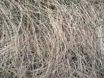 Similar image 13013116