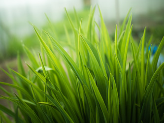 Similar image 13013117