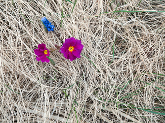 Similar image 13013118