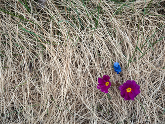 Similar image 13013119