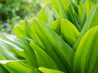 Similar image 13013121