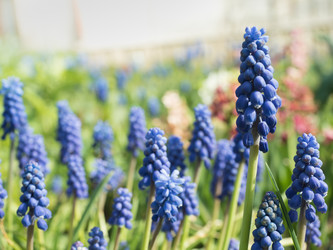 Similar image 13013122