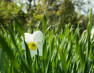 Similar image 13013123