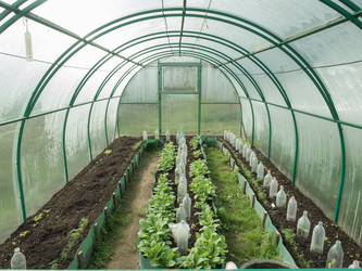 Similar image 13013124