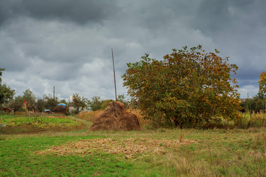 Similar image 13023974