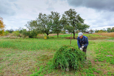 Similar image 13044799