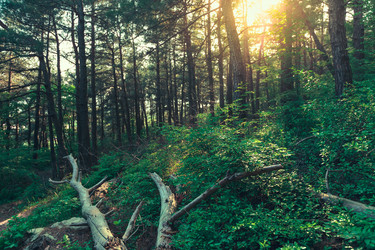 Similar image 13028268