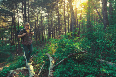 Similar image 13028269