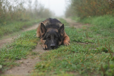 Similar image 13023791