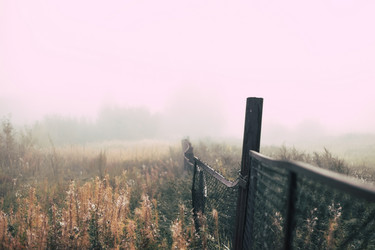 Similar image 13023792