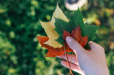 Similar image 13023793