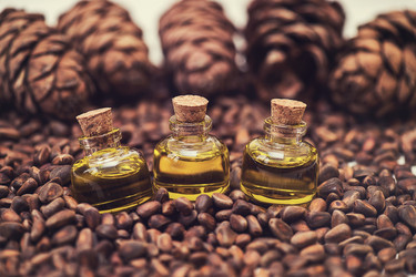 Similar image 13035999