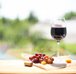 Similar image 13033353