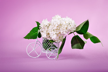 Similar image 13014347