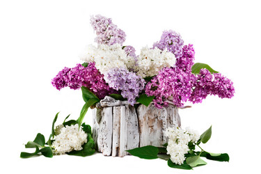 Similar image 13014348