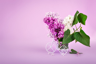 Similar image 13014349