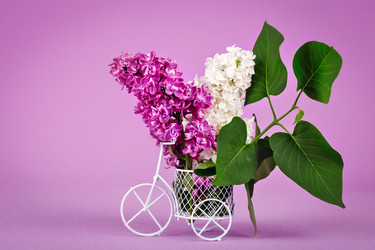 Similar image 13014350