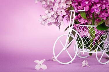 Similar image 13014352