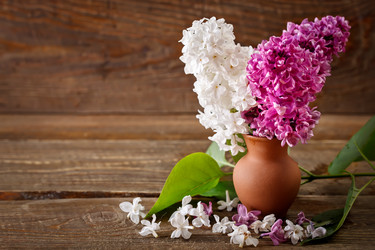 Similar image 13014359