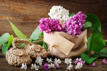 Similar image 13014360